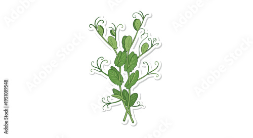 Charming sticker of pea shoots and tendrils, depicting their delicate green foliage and curling vines, ideal for gardening, healthy eating, and nature-themed designs.