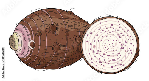 Whole and sliced taro root illustration, depicting its earthy brown skin and pale interior with purple speckles, symbolizing exotic root vegetables and versatile culinary ingredients.