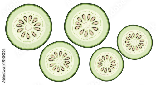 Five translucent slices of cucumber, showcasing their intricate internal patterns and numerous seeds, perfect for fresh food, cooking, and healthy eating illustrations.