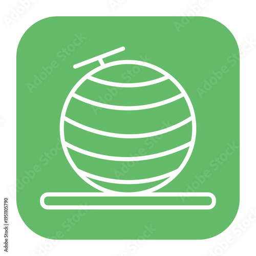 Exercise Ball Icon