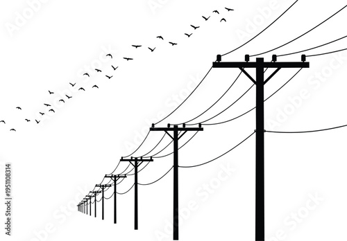 Electric power transmission towers silhouette with perspective view and flying birds representing energy infrastructure, utility services, migration, urban development, and environment