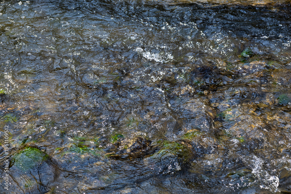 Fototapeta premium water flowing in the river