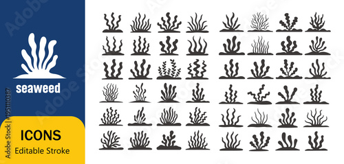 Seaweed icon set with various illustrations