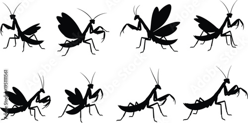 Vector Collection of Praying Mantis Silhouettes Featuring Insects with Spread Wings in Flying and Defense Poses for Nature Designs