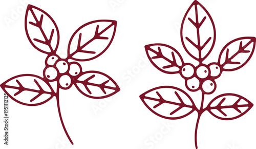 Two stylized illustrations of berry clusters with elongated leaves