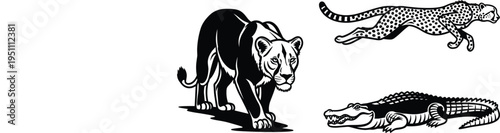 Vector Illustration Collection Featuring Wild African Predators Including Stalking Lioness Running Cheetah and Crocodile for Safari Nature Graphic Design