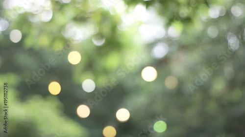 Soft focus green leaves and shimmering bokeh lights create a serene natural