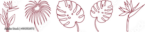 Elegant line drawings of five stylized tropical plants and flowers