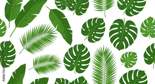 Tropical leaf pattern with monstera and palm leaves on white background