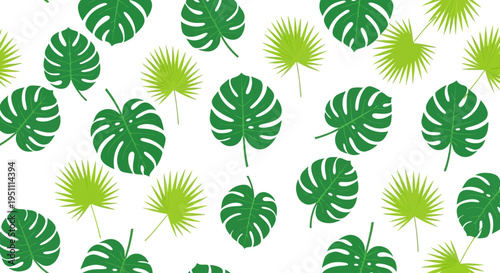 Tropical leaf pattern with monstera and palm leaves on white background