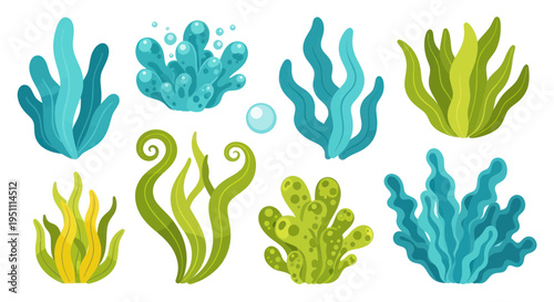 Colorful Underwater Seaweed and Coral Collection, Ocean Flora Vector Set