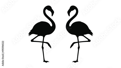 Two elegant flamingo shapes are depicted in a striking black outline silhouette