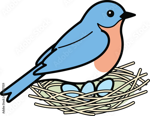 Cute Bluebird Sitting on Nest with Eggs Vector Illustration for Spring Design