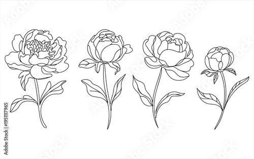Four simple line of brain and neuron cells biology