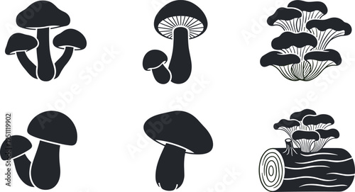Vector Silhouette Collection of Forest Mushrooms and Fungi Growing on Wood Logs Including Oyster and Porcini Species for Nature Design