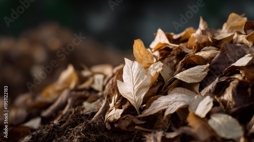 Close-up of a pile of dried leaves. the leaves are in various shades of brown and beige, and they are scattered randomly on the ground.
