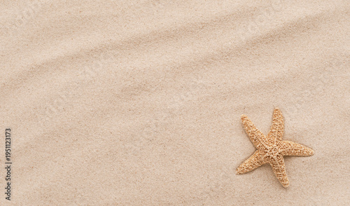 Top view of a sandy beach with starfish as natural textured background. Summer and vacation banner. Flat lay.