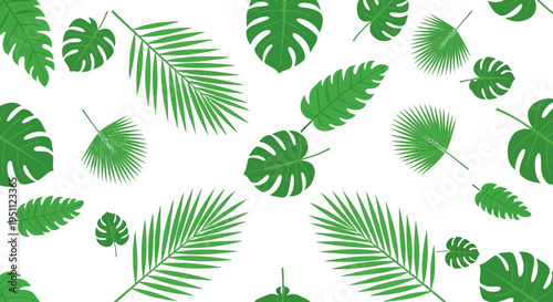 Tropical leaf pattern with green palm and monstera leaves on white background