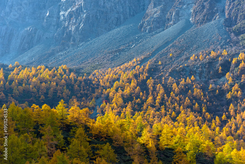 view of autumn highland snow mountain of Yading Nature Reserve, snow-capped mountains, crystal clear lakes, vast grasslands, colorful forests, Shangri-La Town, Daocheng, Sichuan, China