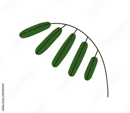 Leaf branch bowing. Leaves, foliage sprig. Green leafy twig, greenery, botanical design element. Natural decoration, stem bending. Flat vector illustration isolated on white background