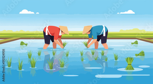Two farmers planting rice seedlings in a flooded paddy field