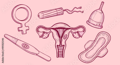 Vector illustration depicting feminine hygiene products and female reproductive system, including a pregnancy test and menstrual cup