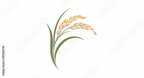Stylized Rice Plant Illustration with Golden Grains