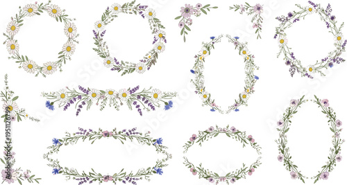 Wildflower Floral Wreath Vector Set with Daisy, Lavender and Botanical Frames for Wedding and Decorative Designs