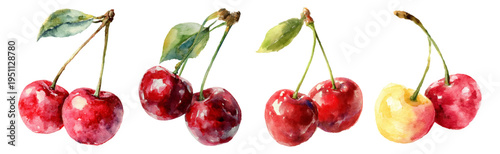 Cherries watercolor illustration showing various groups of fresh reddish and yellow berries with green leaves and thin stems, hand drawn sweet small fruit art composition