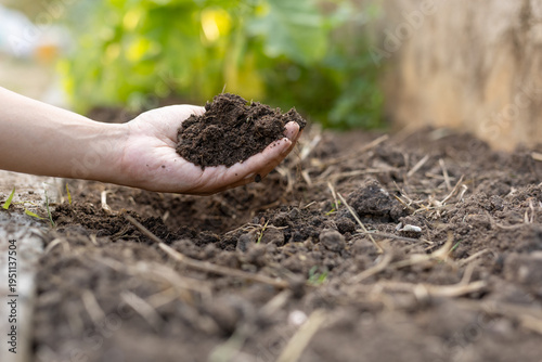 Closeup hand holding rich organic compost soil for plant growth