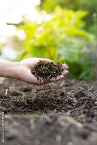 Organic compost soil in hand at sunset for sustainable gardening