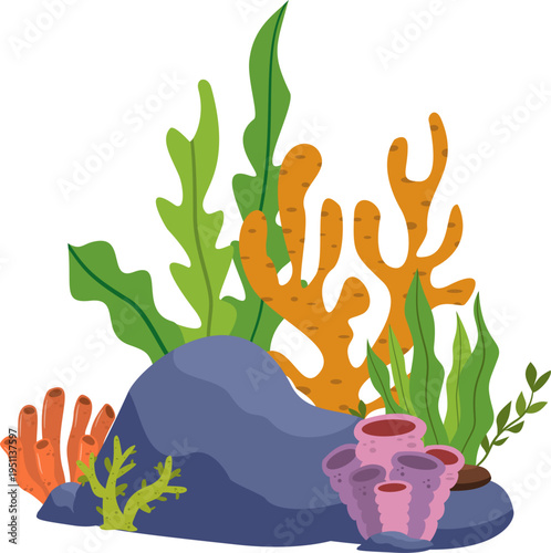 Sea coral and underwater plants