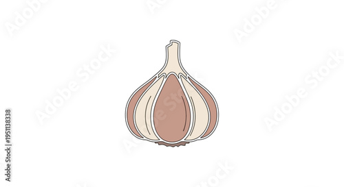 A single brown garlic bulb illustration.