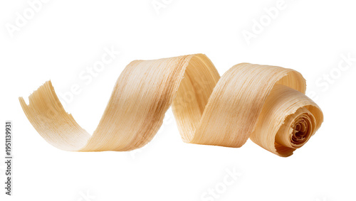 Obraz na płótnie Light brown wood shaving, a delicate and naturally curled wooden chip, isolated