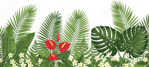 Lush Tropical Plant Border with Monstera Palm Leaves Red Anthurium and White Frangipani Flowers Isolated on White Background for Exotic Garden Nature Concept Designs