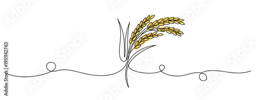 Grain stalk with rice ears on white continuous background. no editable strokes