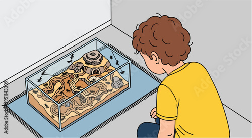 Boy gazes at ants in a glass terrarium, observing their underground world