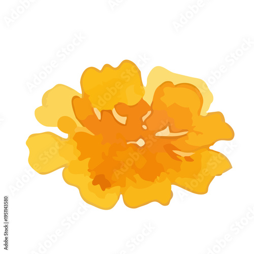 Watercolor-style vibrant marigold flowers, orange and yellow botanical illustration／マリーゴールド