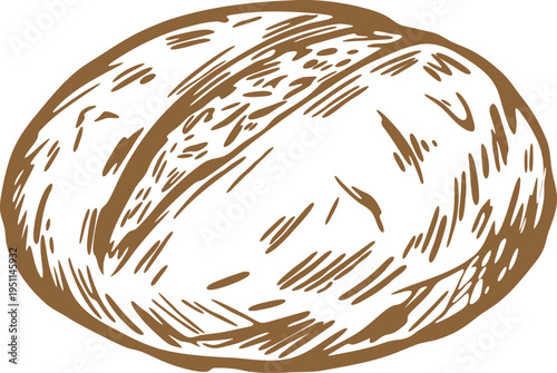 Oval potato tuber with rough skin line drawing