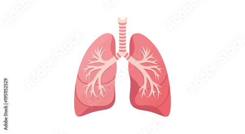A pink illustration of human lungs with trachea and bronchi, symbolizing World Tuberculosis Day awareness on a white background