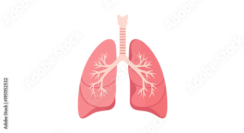 Anatomical illustration of human lungs with trachea and bronchi in pink and white hues for tuberculosis awareness campaign materials