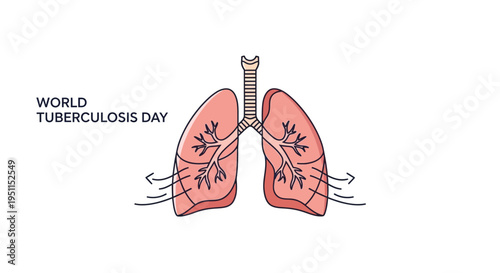 Vector illustration of human lungs with bronchial tree on World Tuberculosis Day for TB awareness campaign, featuring pink lungs and trachea on a white background