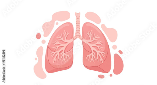 Illustration of human lungs with bronchial tree in pink hues for tuberculosis awareness campaign materials and healthcare designs
