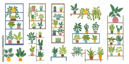 Set of houseplants on the shelves isolated on white. Concept of greening, home decor, nature, botanical design, ecology, care, growth, gardening and sustainability. Vector hand drawn cliparts.