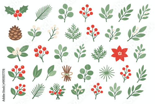 Christmas botanical collection with poinsettia flower, pine cone, cinnamon sticks, and winter greenery elements isolated on white