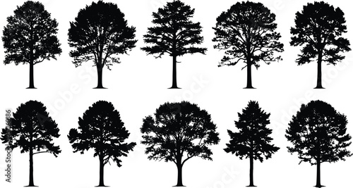 Silhouettes of diverse tree shapes in black vector style, showcasing botanical variety, forestry design elements, and natural forms for educational, artistic, and decorative illustration purposes.