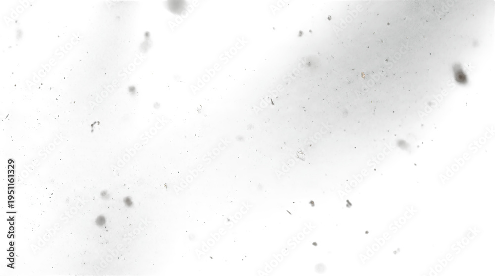 Fototapeta premium Abstract Dust Particles Floating in Light on White Background.