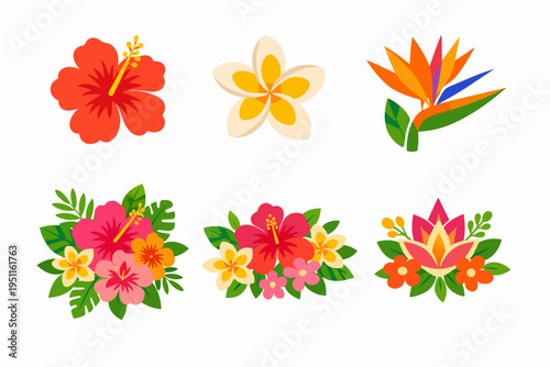 Tropical flowers set with hibiscus, plumeria, and bird of paradise designs
