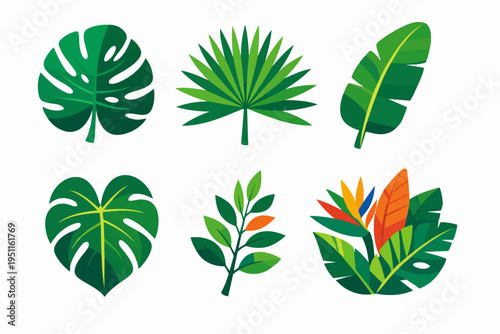 Tropical jungle foliage design providing a collection of exotic leaves and flowers