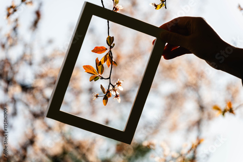 the spring blooms with a frame